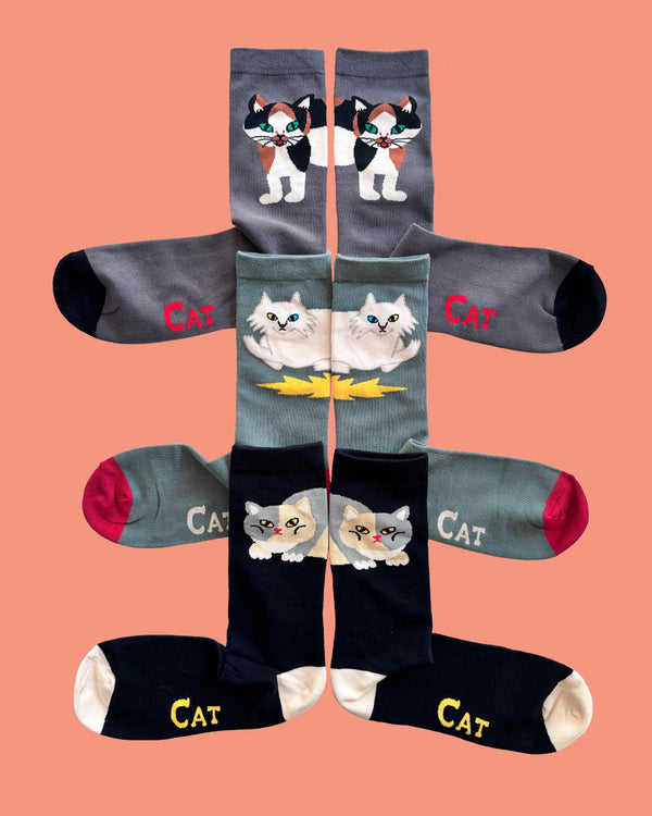 noko フクロウ　gakkin NOKO – GXX